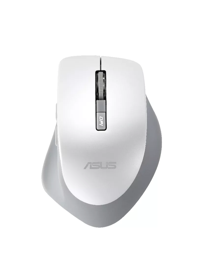 ASUS WT425 mouse Office Right-hand RF