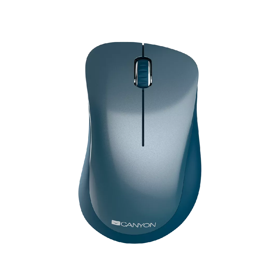 Canyon CNE-CMSW11BL mouse Right-hand RF Wireless
