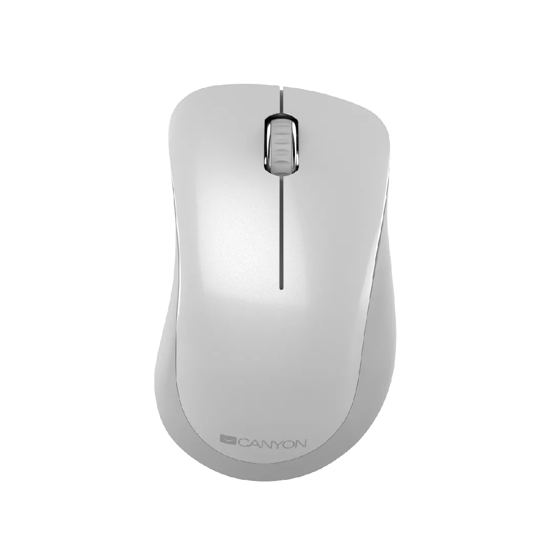 Canyon CNE-CMSW11PW mouse Right-hand RF Wireless