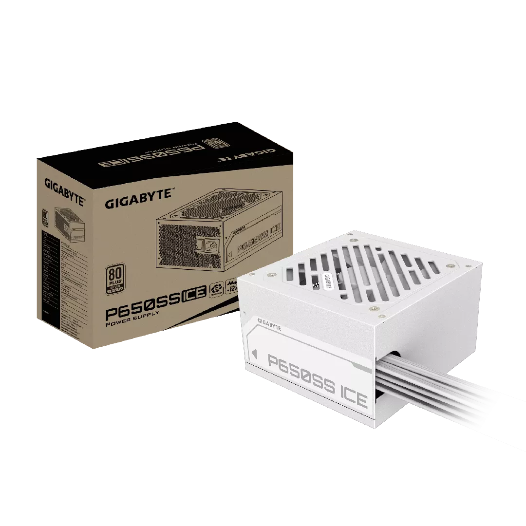 GIGABYTE P650SS ICE Power Supply -