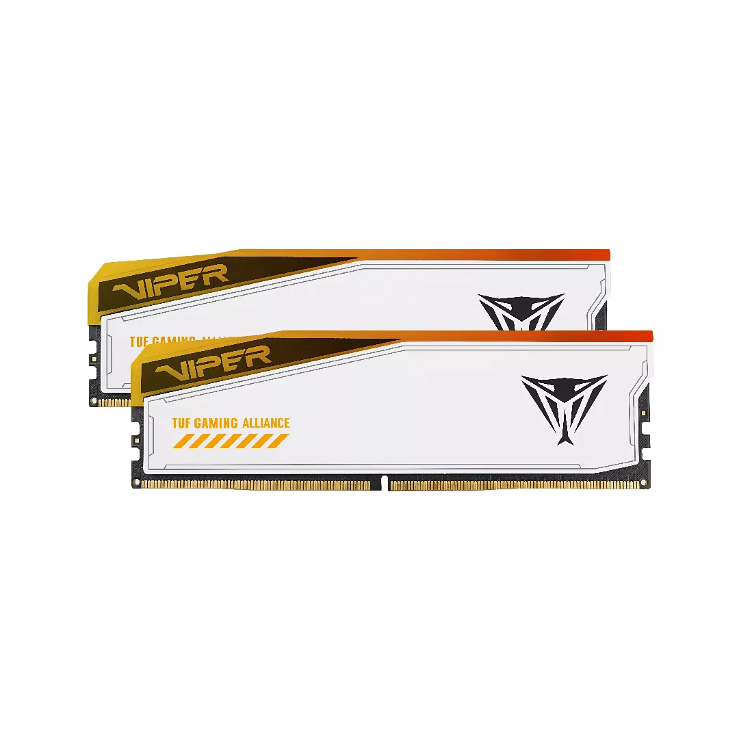 Patriot Memory Viper Elite 5 PVER532G60C36KT