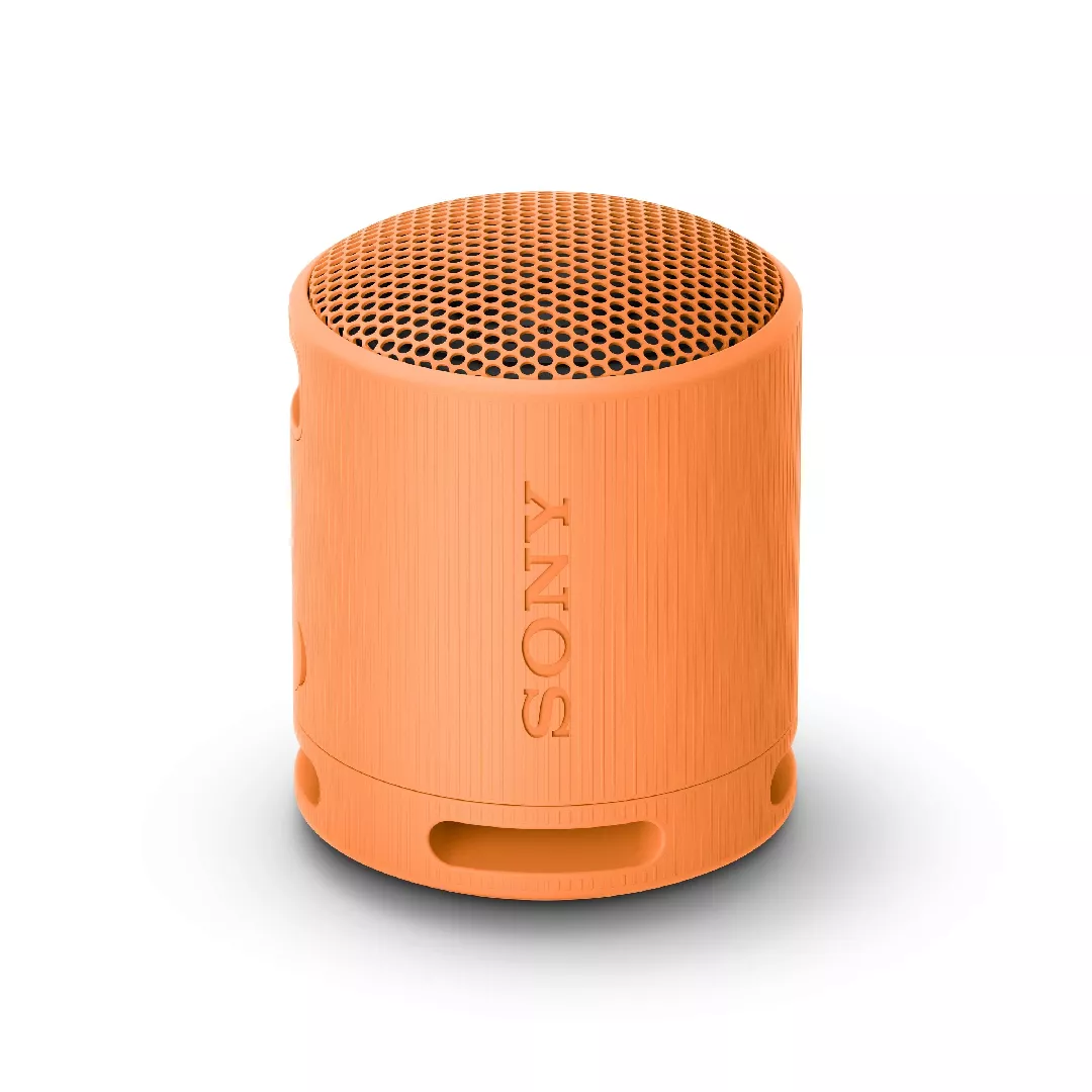 Sony SRS-XB100 - Wireless Bluetooth Portable